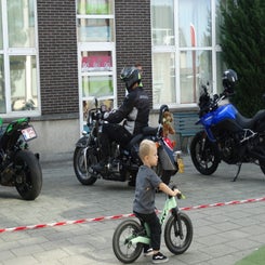 dsc05181-standard.jpg