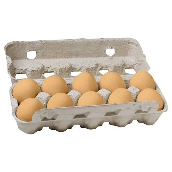 Eier Bodehaltung