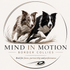 Mind in Motion Border- Collies