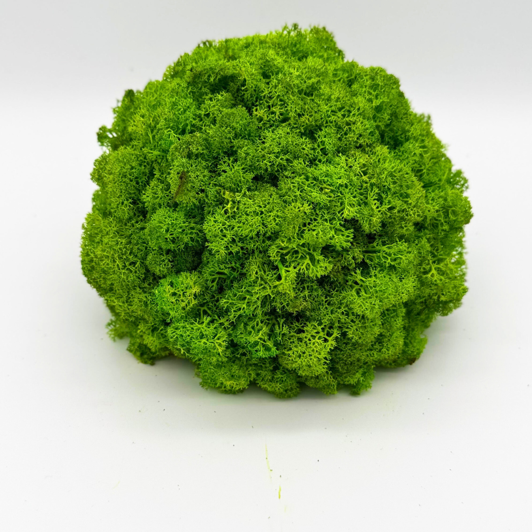 MOSS BALL GRASSGREEN
