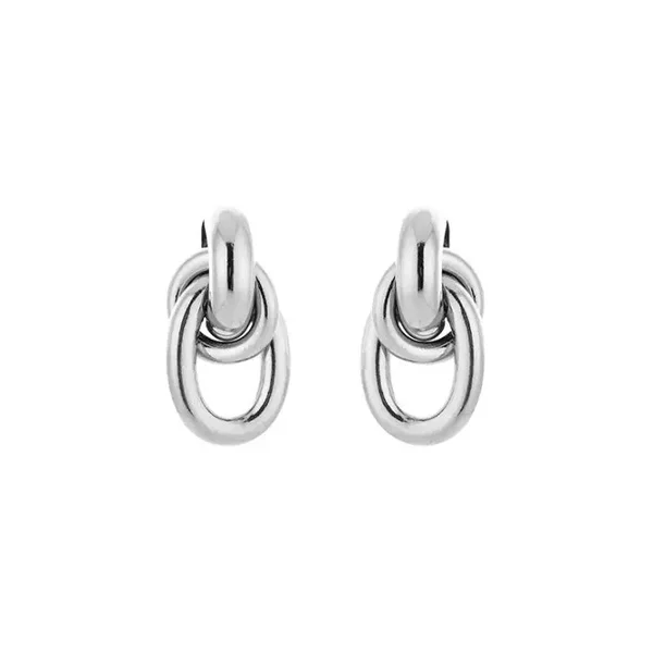 Chique oorbellen silver