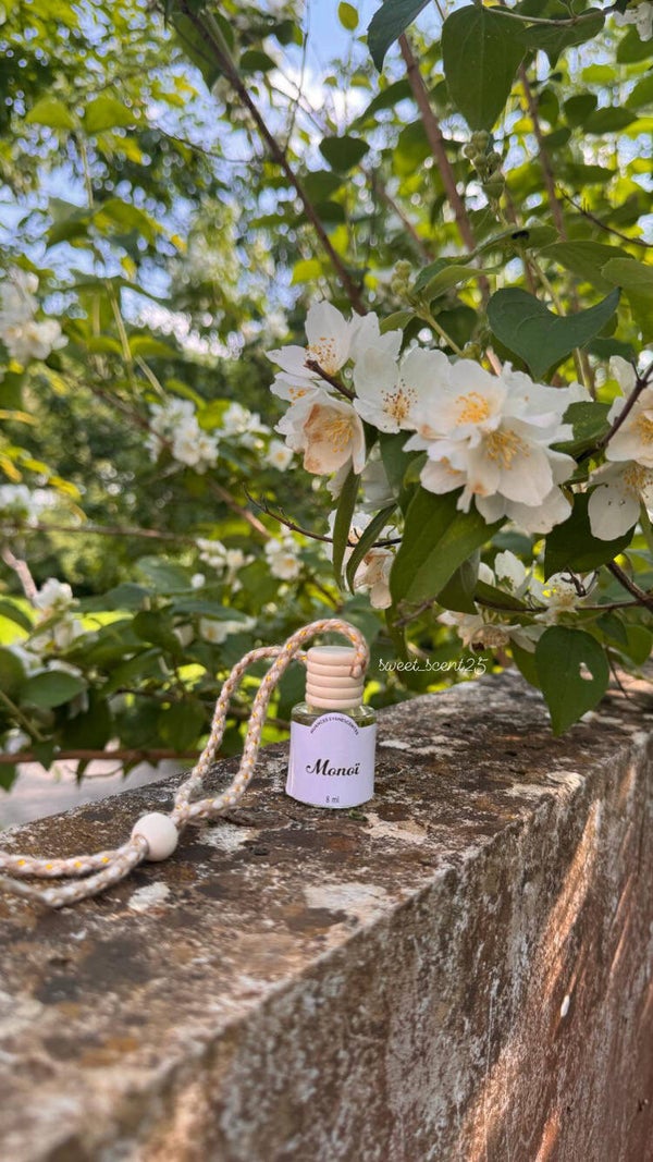 Nos Diffuseurs Voitures