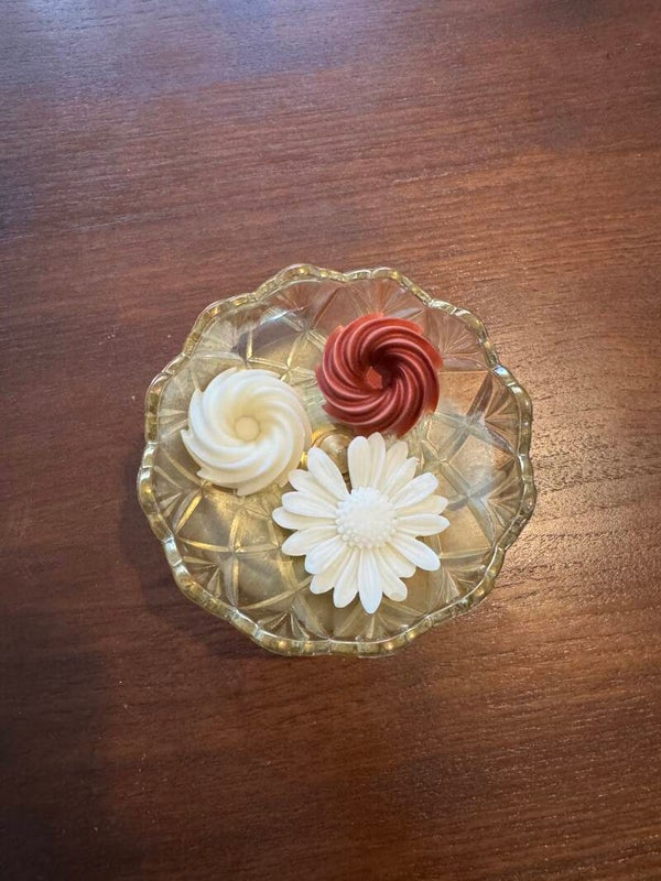 Nos senteurs boisées, orientales