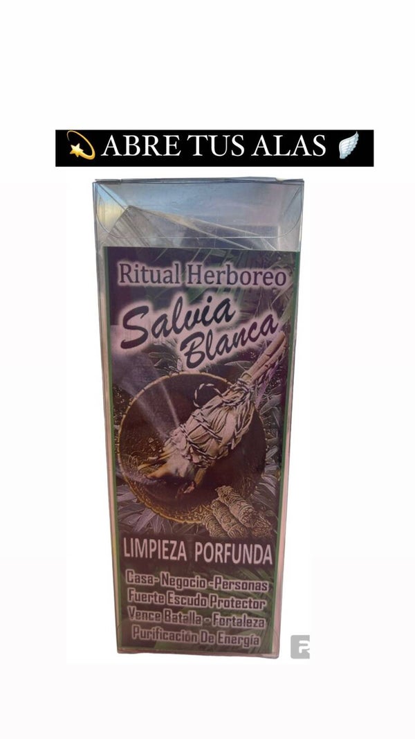 Salvia blanca