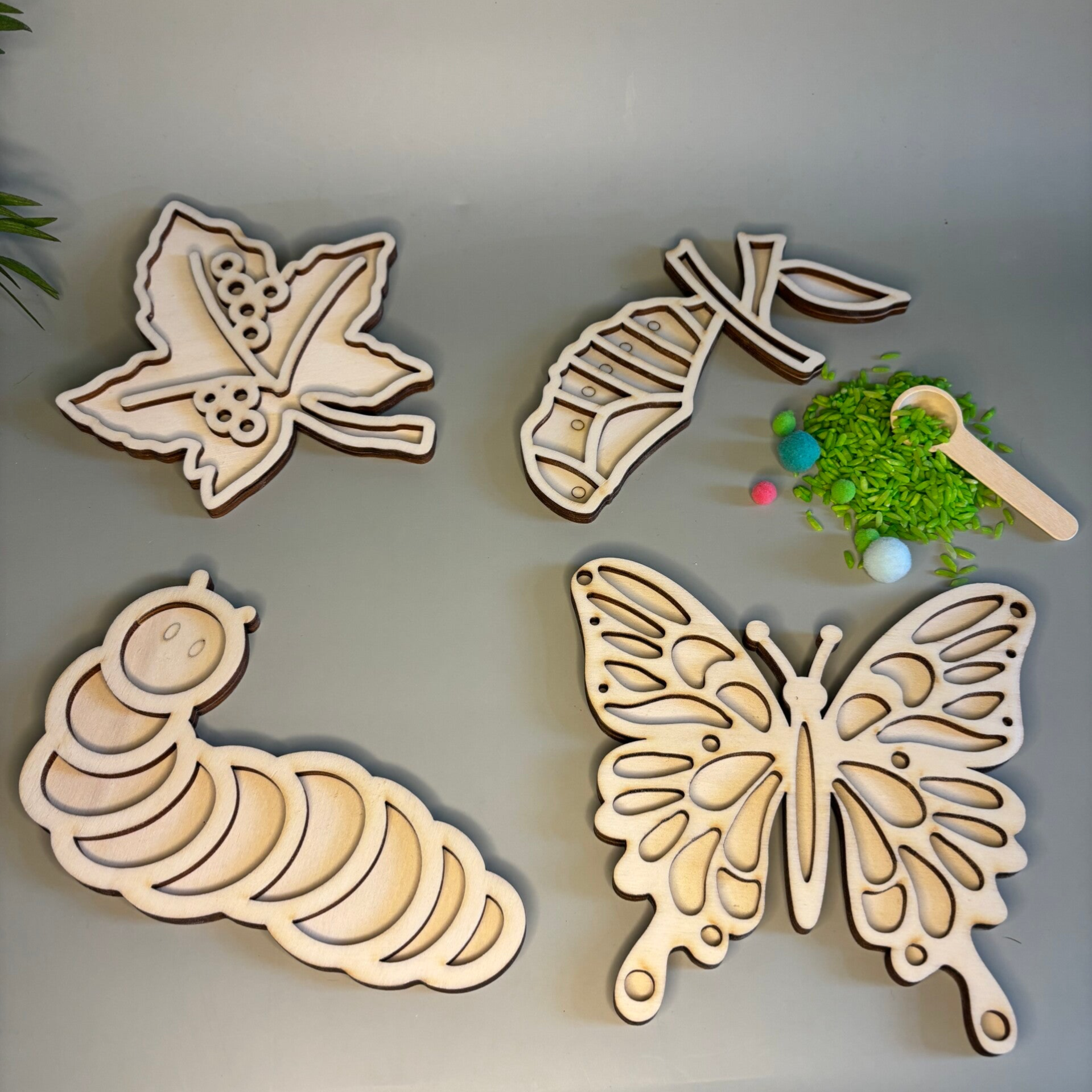 Speelframe set vlinder cyclus