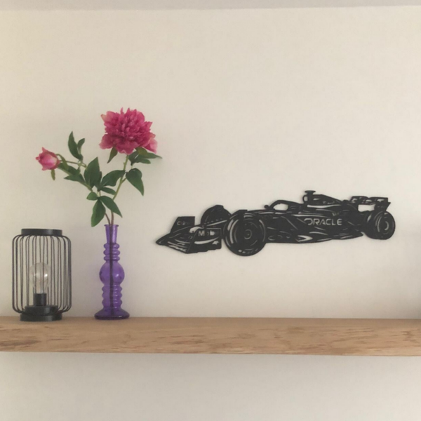 F1 auto red bull 2024