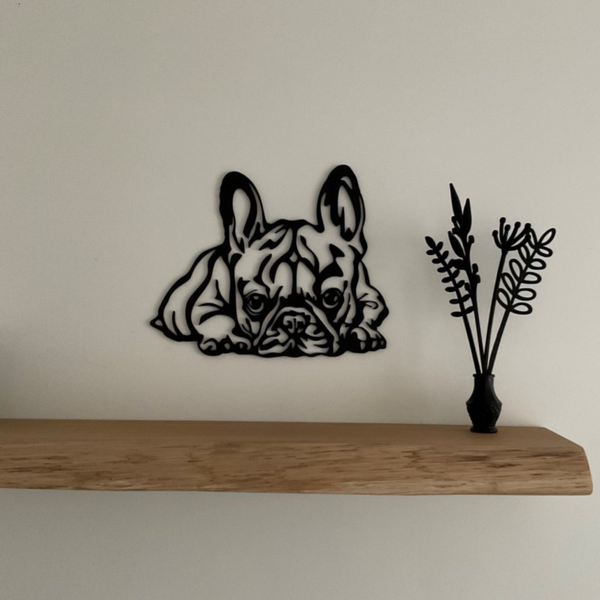 Franse buldog liggend