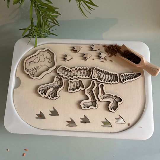 Inleg dinosaurus skelet