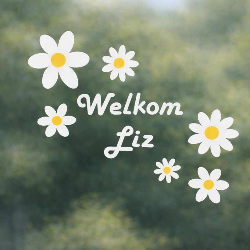 Raamsticker madeliefjes