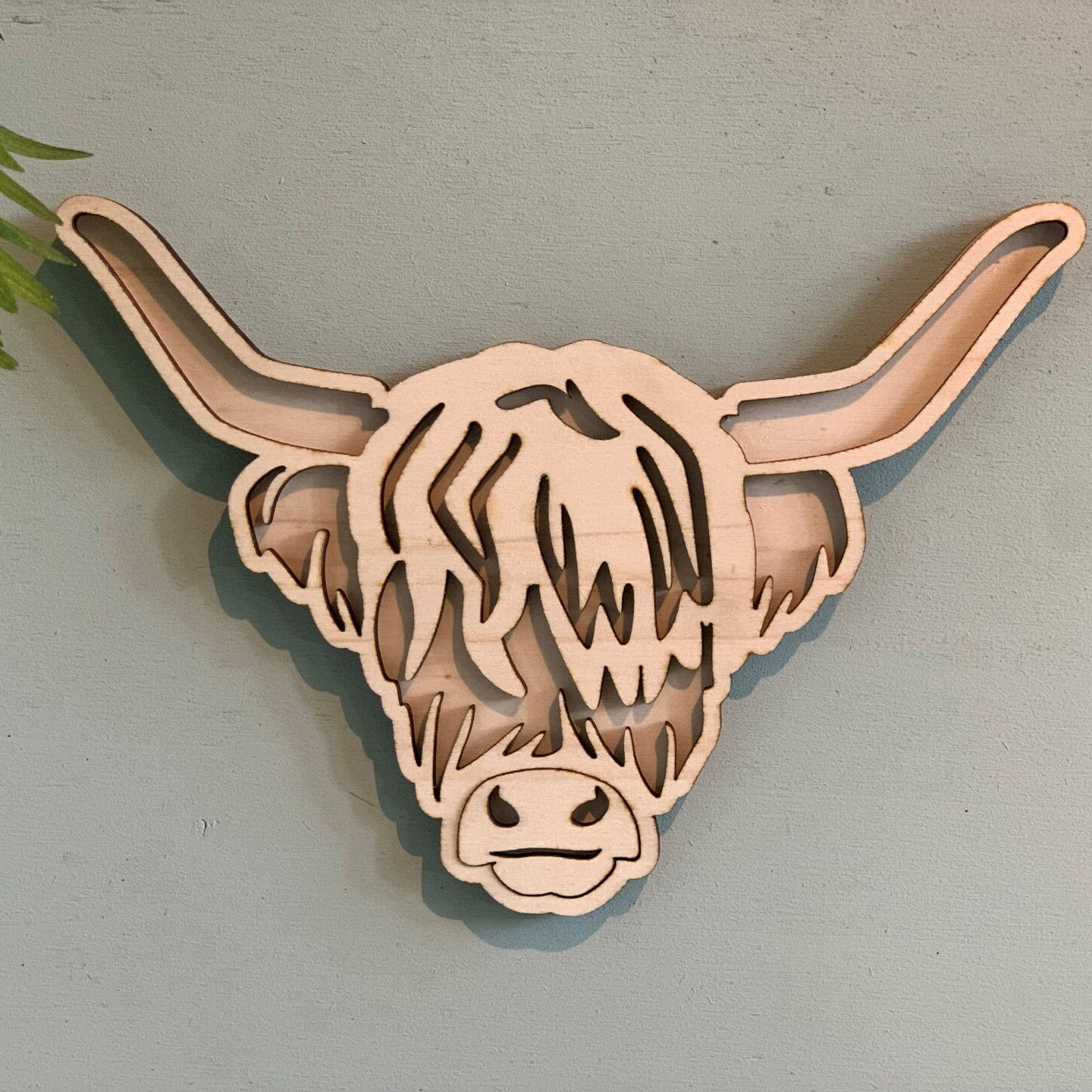 Schotse hooglander 3d