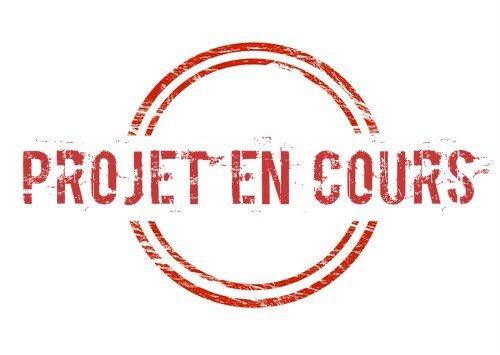 projet-en-cours-standard.jpg