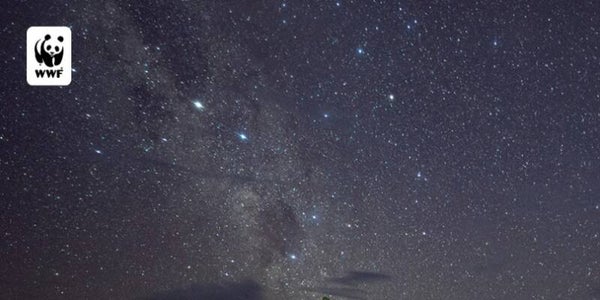 Analyse (diepgaand.)