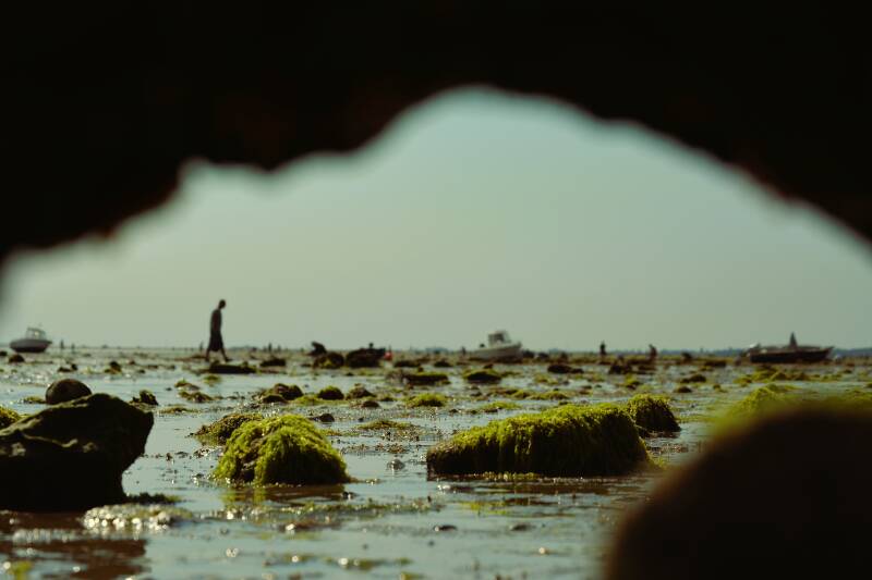 photo paysage à marée basse de pêche à pied