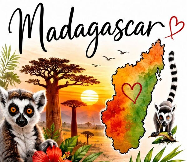 Mug thème Madagascar