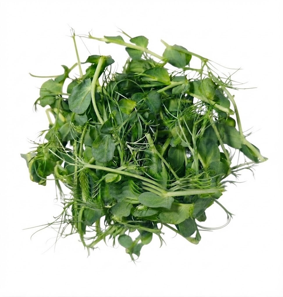 Ärta brun