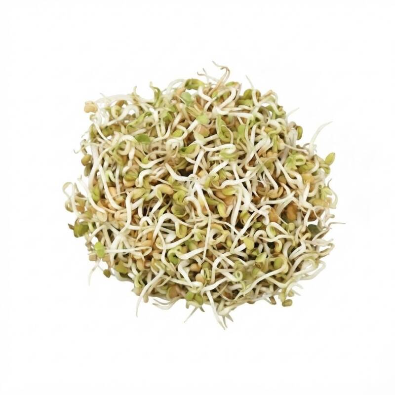 Bockhornsklövergroddar odlade från bockhornsklöverfrö
