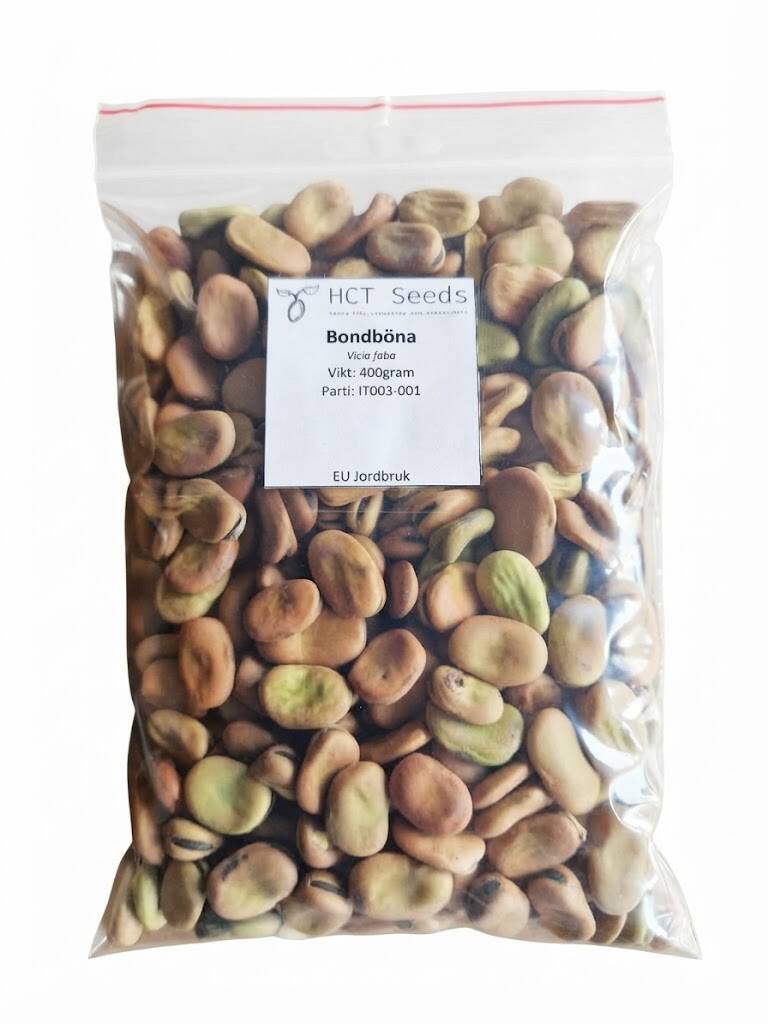 Italienska bondbönor Vicia faba till bondböneskott i påse