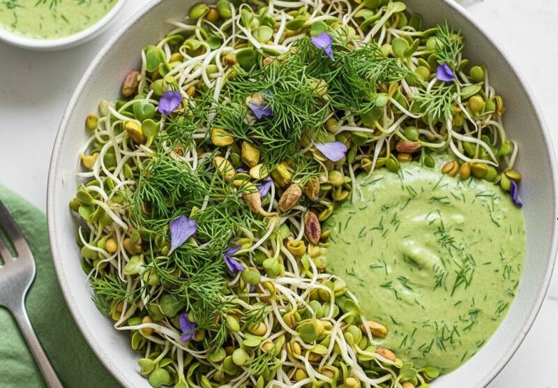 Sallad baserad på bockhornsklövergroddar toppad med pistagenötter, färsk dill och en grön ört-dressing i en skål.