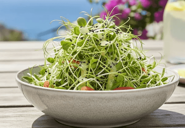Senapsfrö som har odlats till egna vita senapsskott som rikligt toppar en sallad i en skål på ett träbord utomhus.