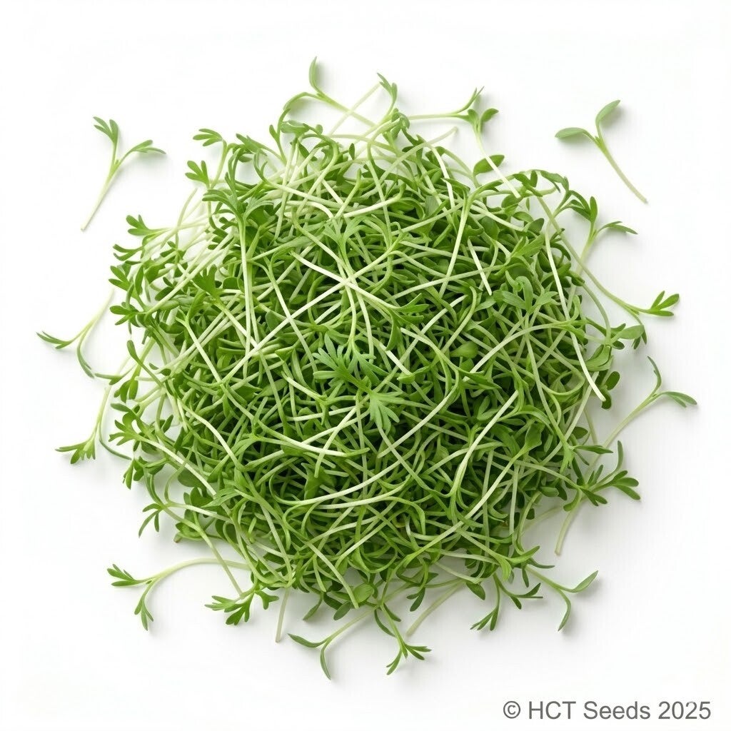 Lins röda Ekologisk