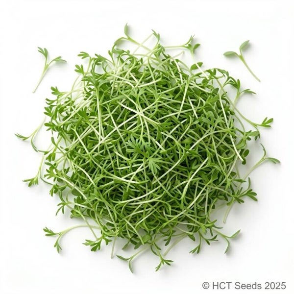 Lins röda Ekologisk