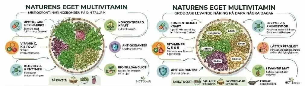 HCT Seeds guide: Naturens eget multivitamin – Jämförelse av de höga näringsvärdena, enzymerna och hälsofördelarna med att odla egna ekologiska groddar och mikrogrönt hemma.