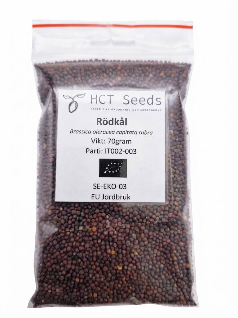 Ekologiska rödkålsfrön för groddar och skott - rödkålsfrö för rödkålsgroddar och rödkålsskott