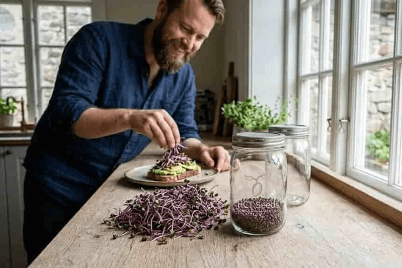 En man i ett kök som förbereder mackor bredvid en hög med rödkålsskott och burkar odlade från egna rödkålsfrön.