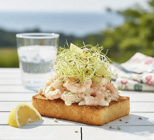 Sommarfräsch räktoast – med dill- & fänkålsskott odlade på fröer från HCT Seeds