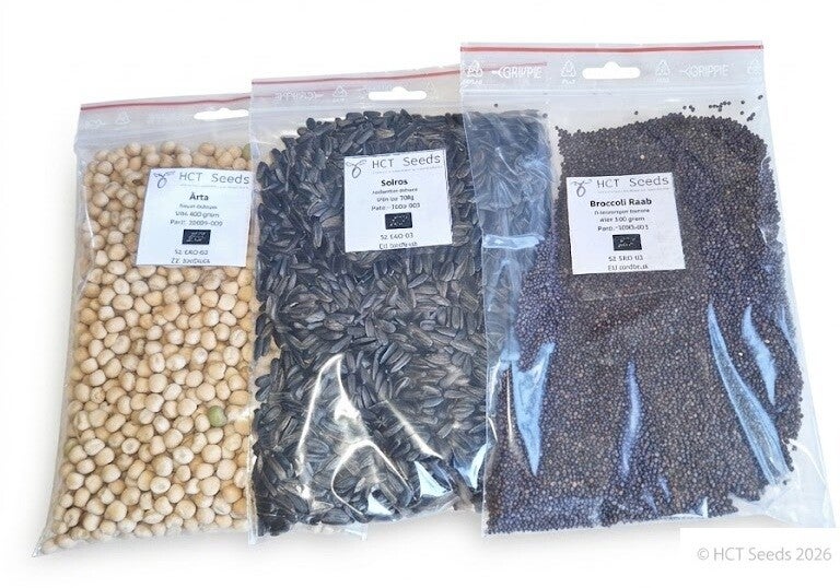 Mikrogröntpaket nybörjarfavoriter