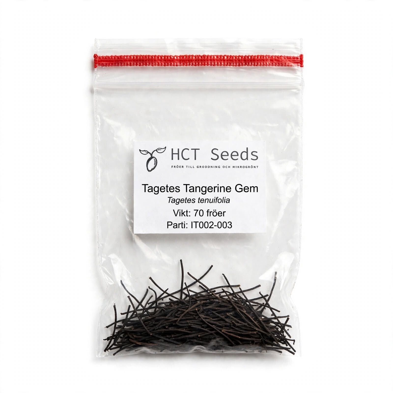 Fröpåse med ätbar kryddtagetes Tagetes tenuifolia Tangerine Gem från HCT Seeds, spanska ISTA-testade fröer med grobarhetsgaranti