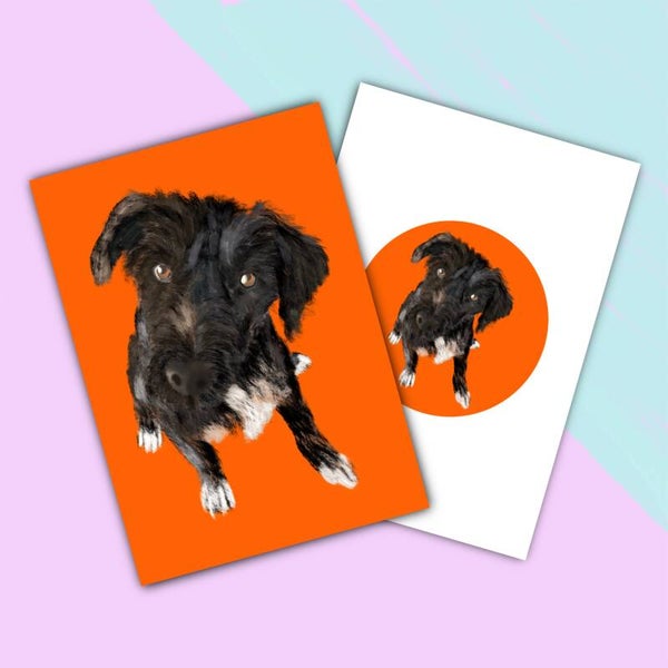 Hond - Wenskaart