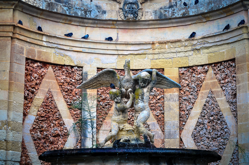 arc-f-dsc_5388-standard.png