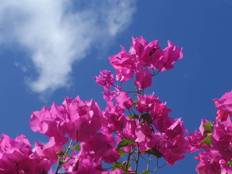 dsc02873-standard.jpg
