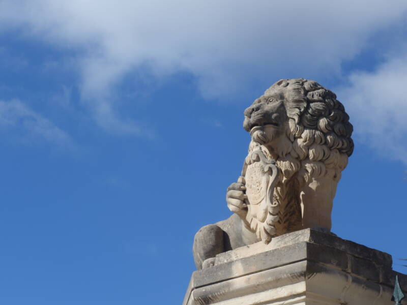 dsc02882-standard.jpg
