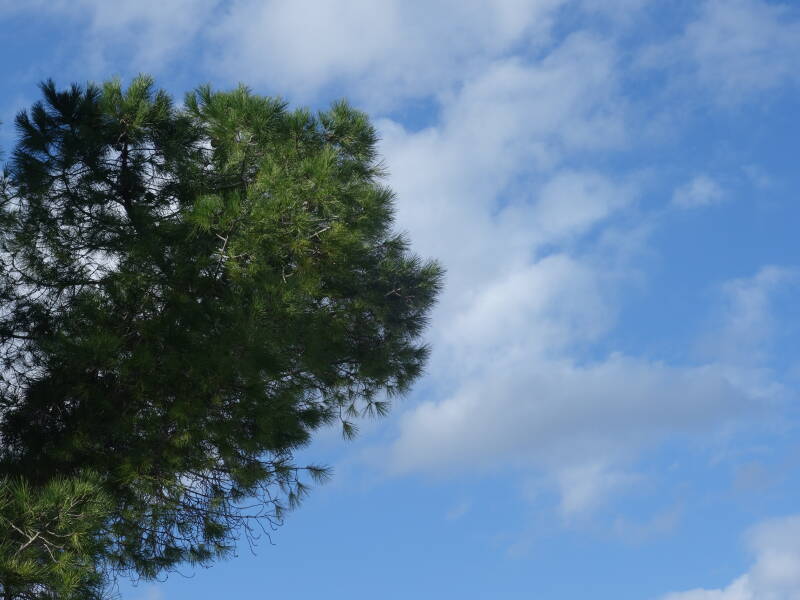 dsc03160-standard.jpg