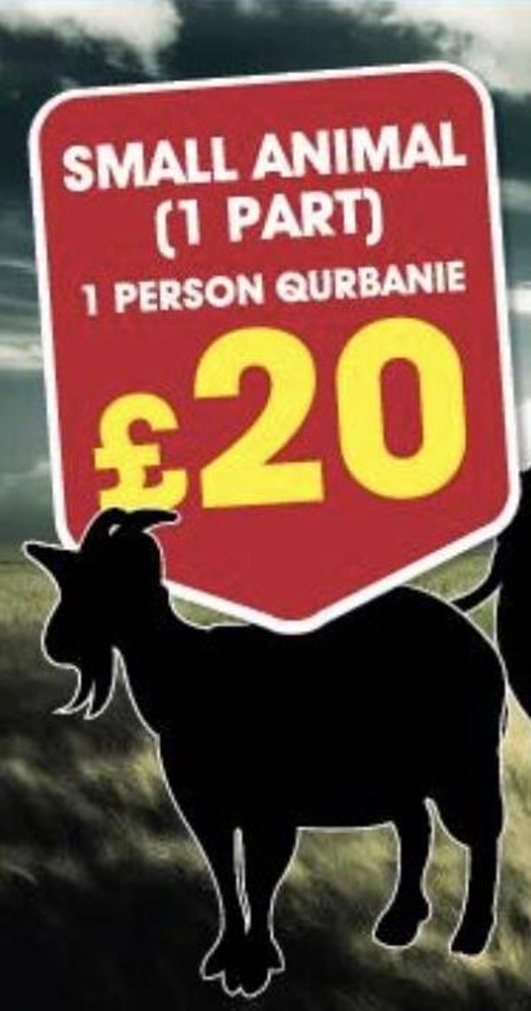 Qurbani Small Animal