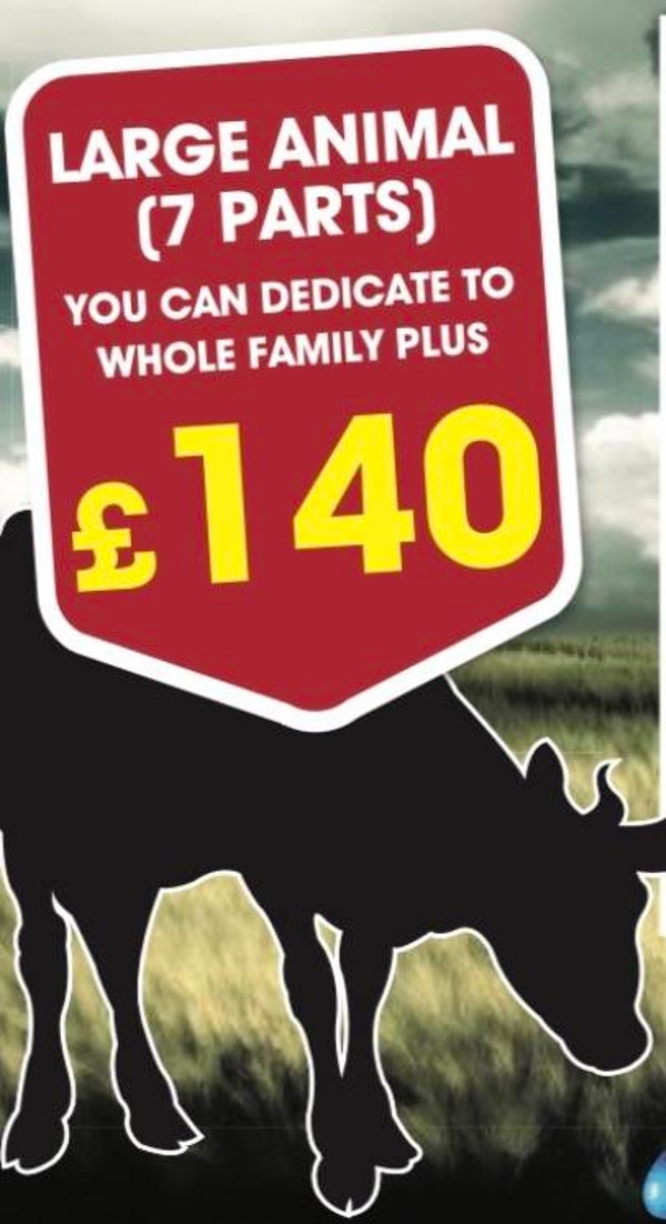 Large Animal Cow ideal family 7