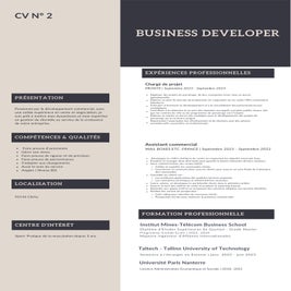 cv-thanu2-pdf-standard.jpg