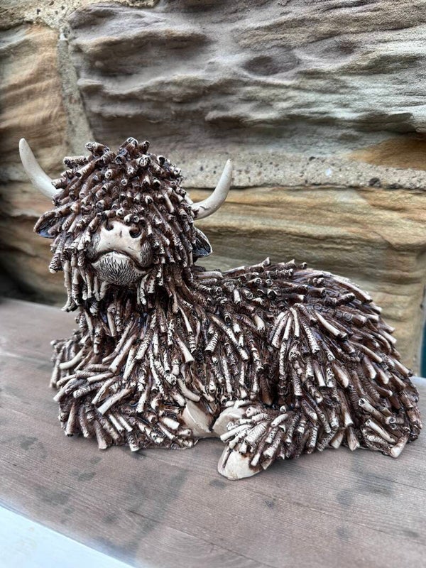 Large Highland Cow
