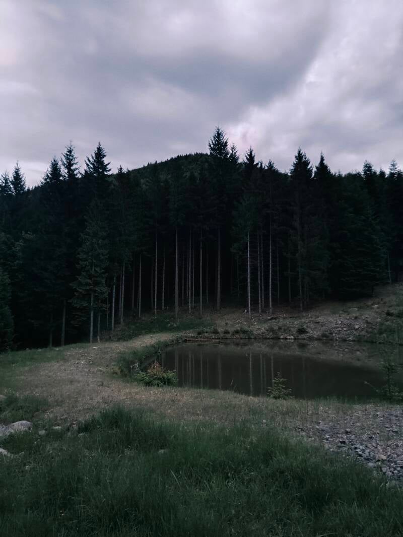 A small lake deep in the woods, Nová Lehota, Slovakia, 2026