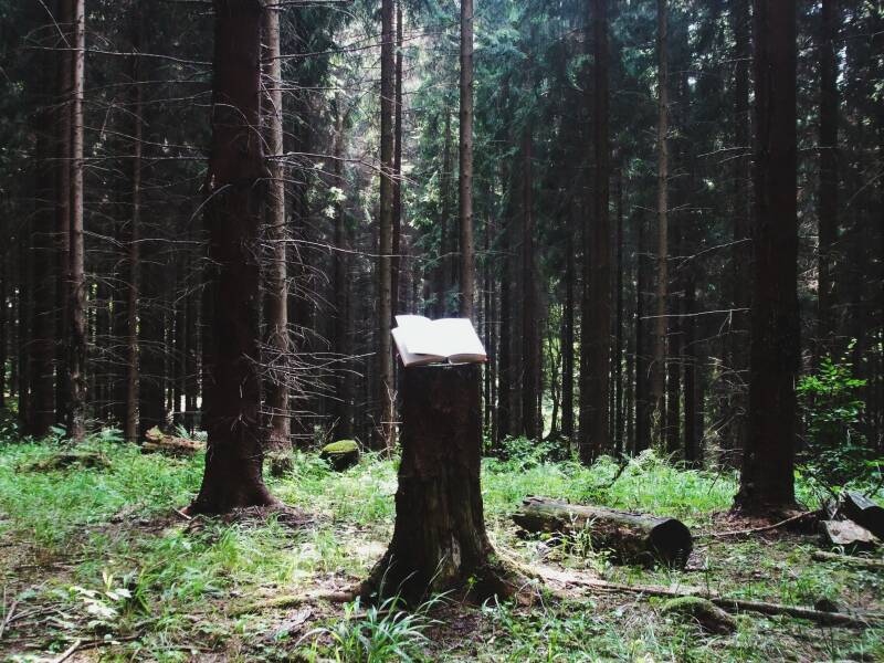 Book, Edda laying on the trunk in the forest above Handlová, Slovakia. Atmospheric nature picture, great quality nature picture.