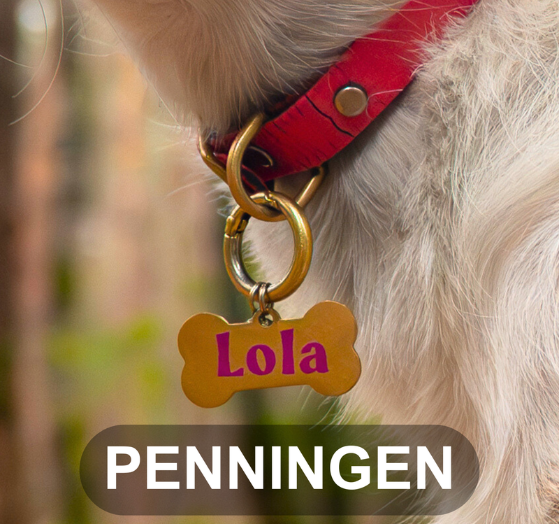 Penningen
