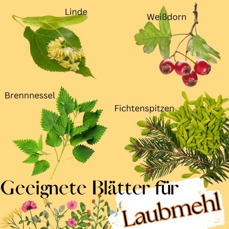 Laubmehl mit  Linde, Fichte, Weißdorn