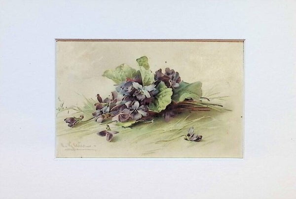 Tarjeta Botánica Antigua - Ramo de Violetas Silvestres - Weltpostverein (Unión Postal Universal)