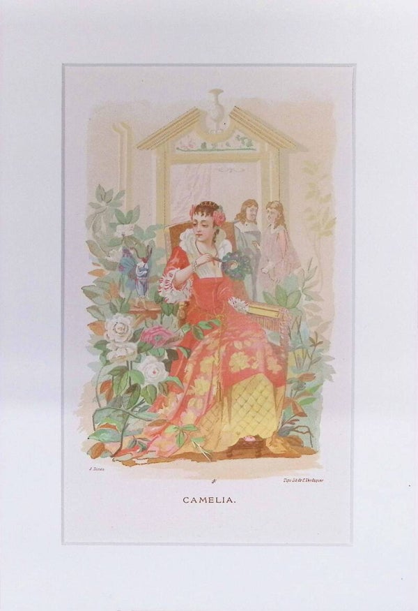 Camelia – Cromolitografía de J. Simon (La Vida de las Flores, 1878) | 32 x 22 cm