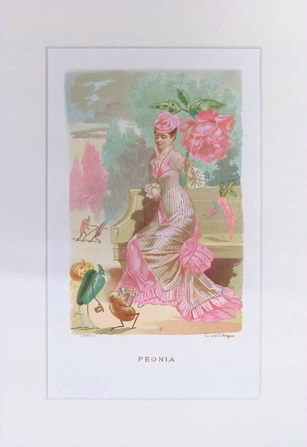 Peonia – Cromolitografía de J. Ventura (La Vida de las Flores, 1878) | 32 x 22 cm