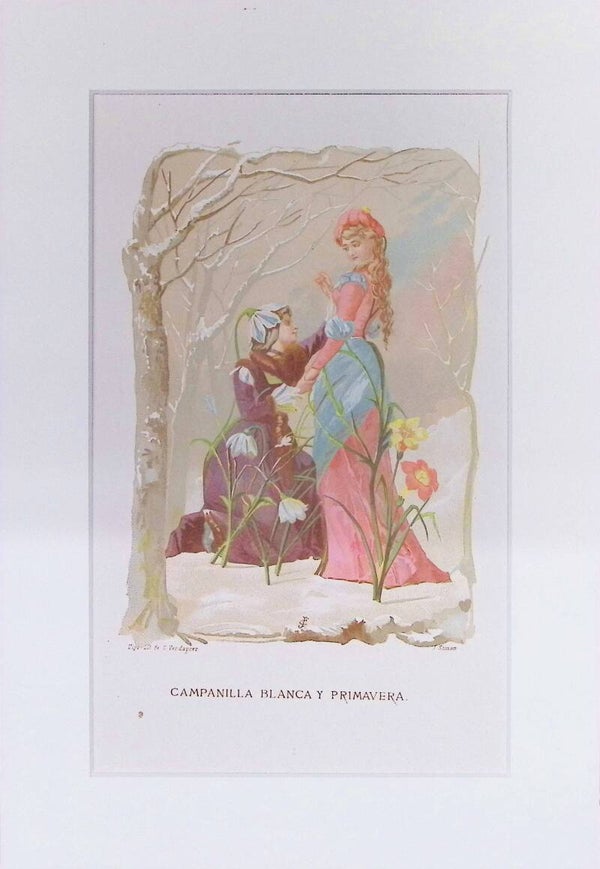 Campanilla Blanca y Primavera – Cromolitografía de J. Simon (La Vida de las Flores, 1878) | 32 x 22 cm