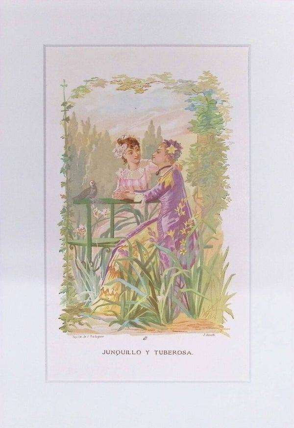 Junquillo y Tuberosa – Cromolitografía de J. Simon (La Vida de las Flores, 1878) | 32 x 22 cm