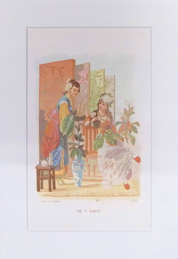 Té y Café – Cromolitografía de J. Simon (La Vida de las Flores, 1878) | 32 x 22 cm